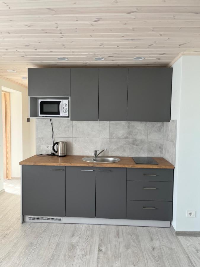Apartament Ska Anykščiai Zewnętrze zdjęcie